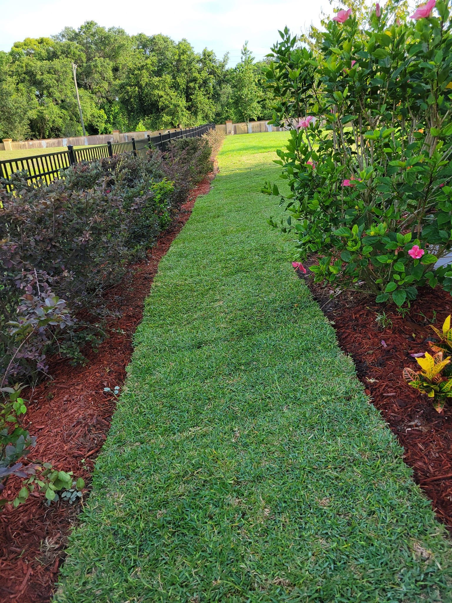 Sod Installation in Mt Dora, FL