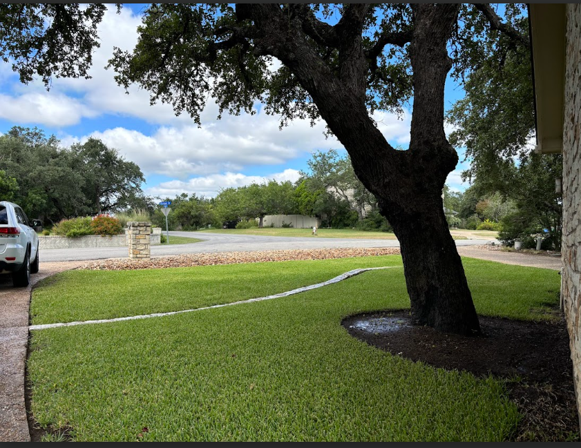 A car is parked in a driveway next to a tree