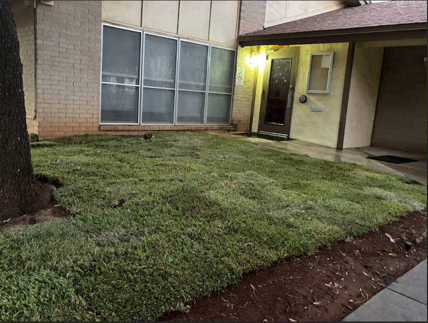 A house with a large lawn in front of it