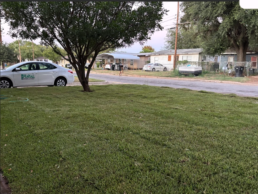 A white car is parked in the grass next to a tree.