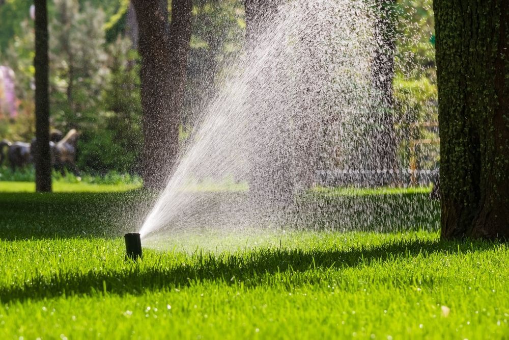 A sprinkler is spraying water on a lush green lawn in a park.