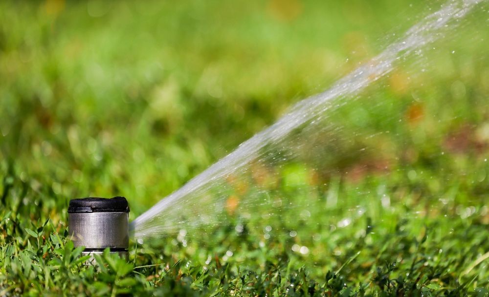 A sprinkler is spraying water on a lush green lawn.