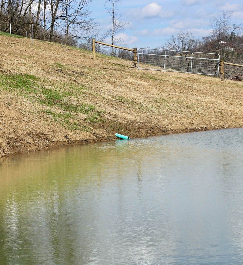 A small pond with a wooden fence surrounding it