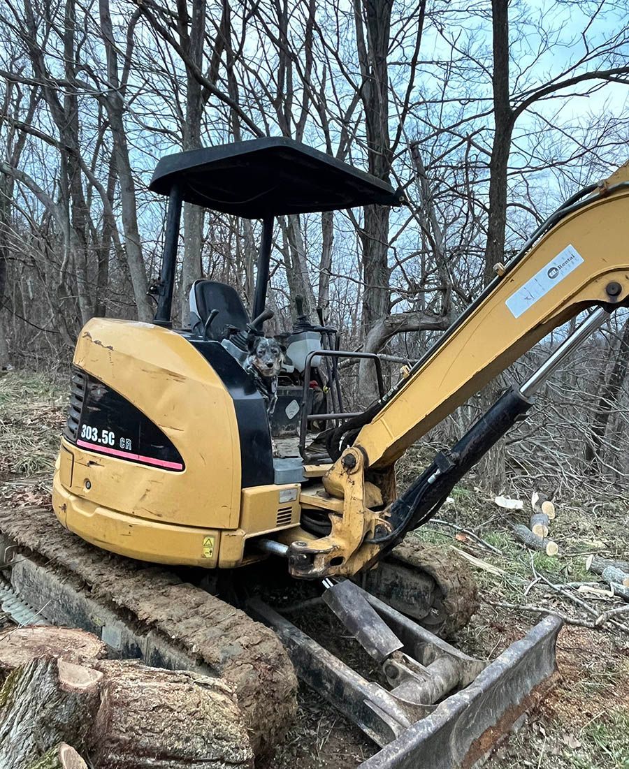 A yellow excavator is sitting on top of a pile of logs in the woods.