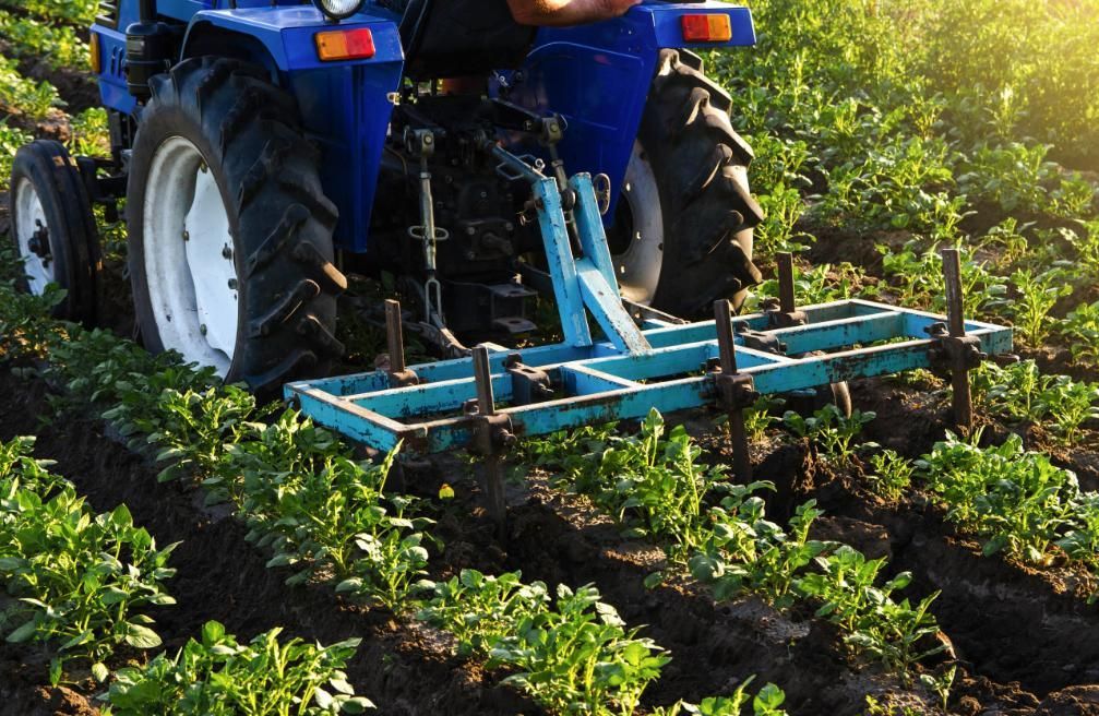 A Blue Tractor Is Plowing A Field Of Plants — JBS Mobile In Richmond Hill, NSW