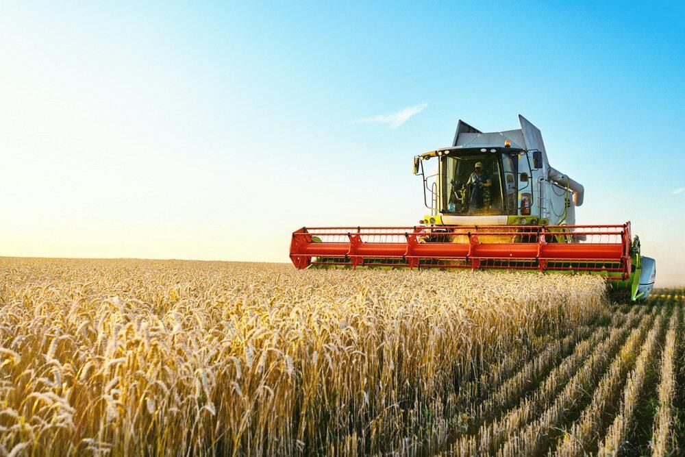 A Combine Harvester Is Cutting Wheat In A Field — JBS Mobile In Mullumbimby, NSW