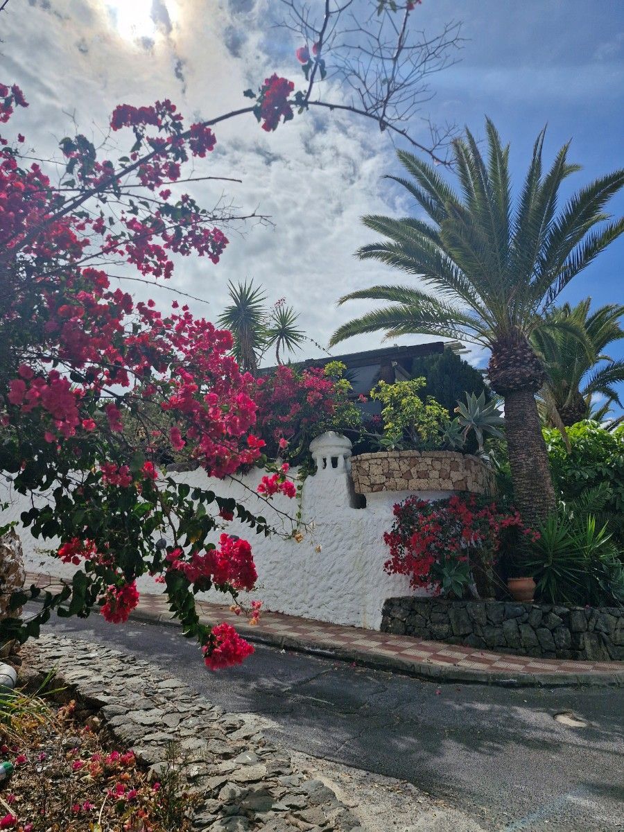 Diāna Audra, tautas dziedniece. Ceļojums uz Tenerifi, bilde 2