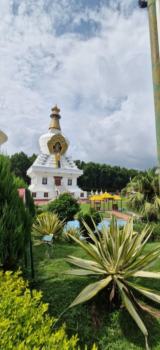 Ceļojums uz Indiju, bilde 13