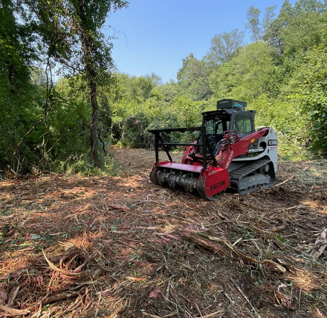 Tree service worker in a bucket, using a chainsaw to trim a tree.