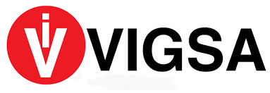 Logo Vigsa