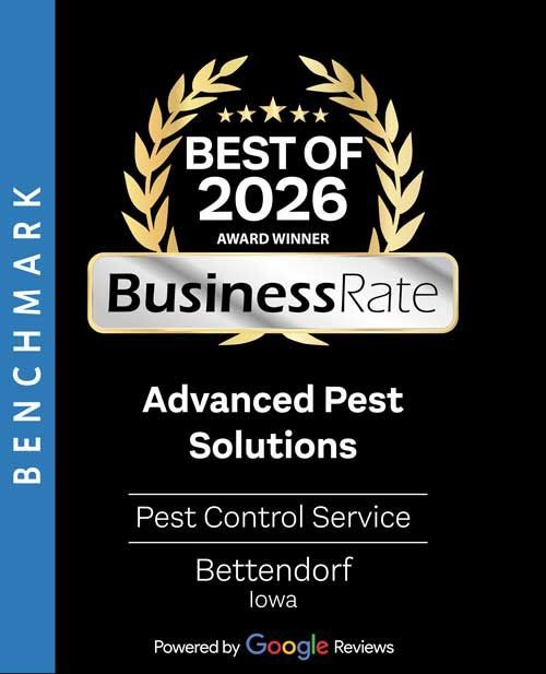 Best of 2026 BusinessRate award badge for Advanced Pest Solutions, pest control service in Bettendorf, Iowa