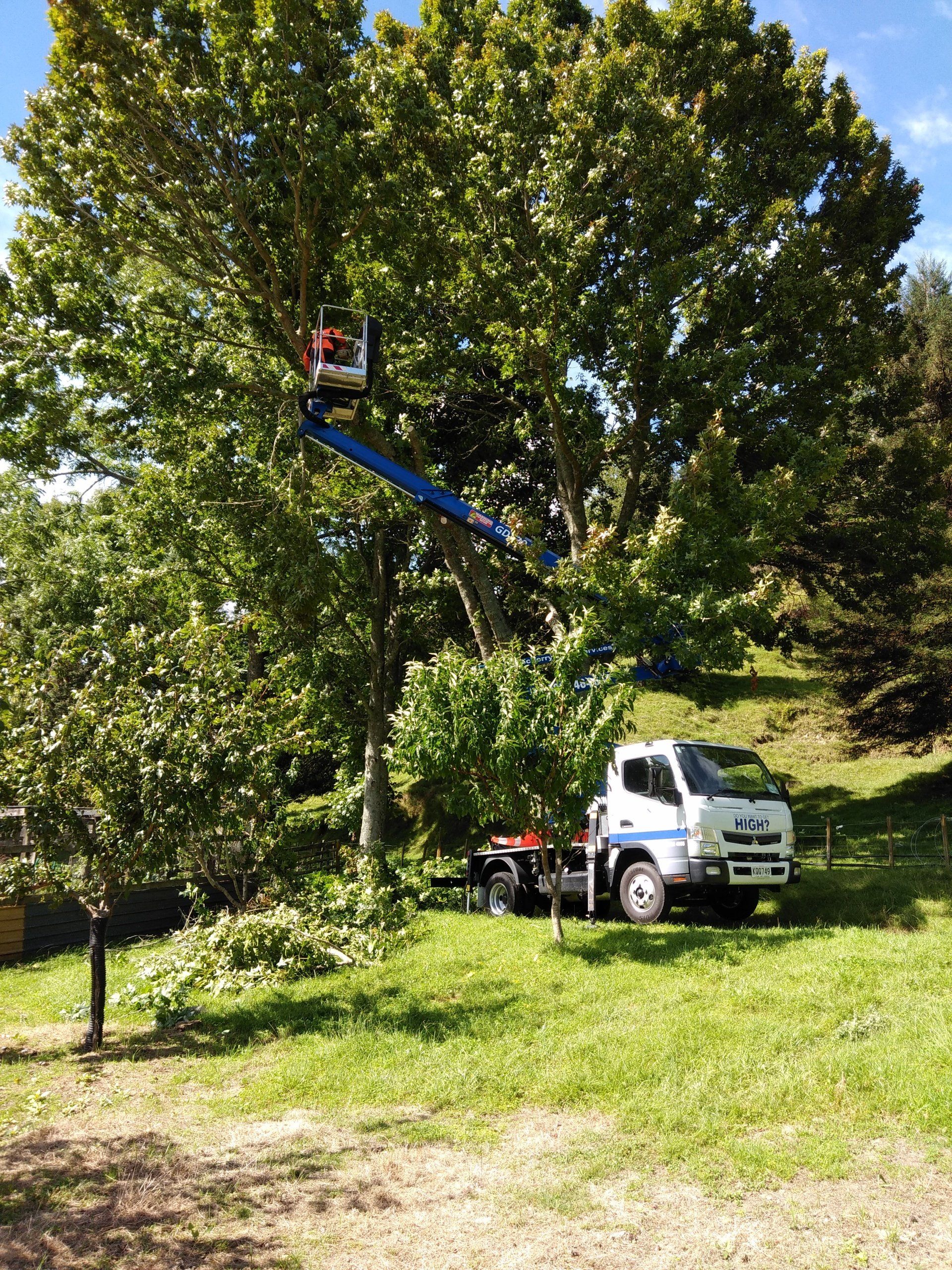 Cherry picker in a green field being used to trim trees in New Zealand 