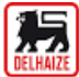 Black lion symbol and “Delhaize” text in a red square frame.