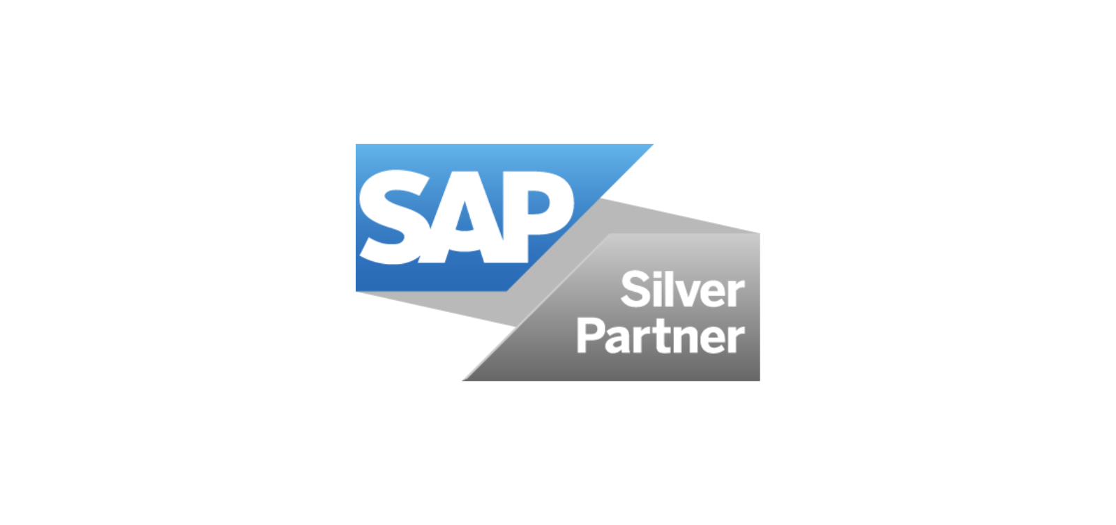 El logotipo del socio de SAP Silver está sobre un fondo blanco.