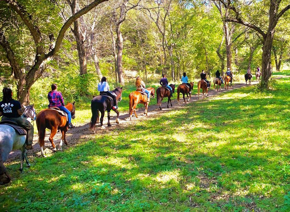 People horseback riding on a trail through a sunny, green forest.