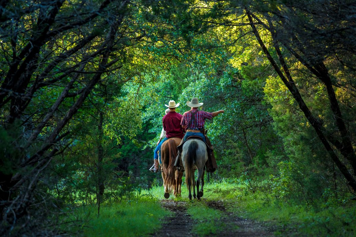 Three people on horseback ride along a trail through a green, wooded area.