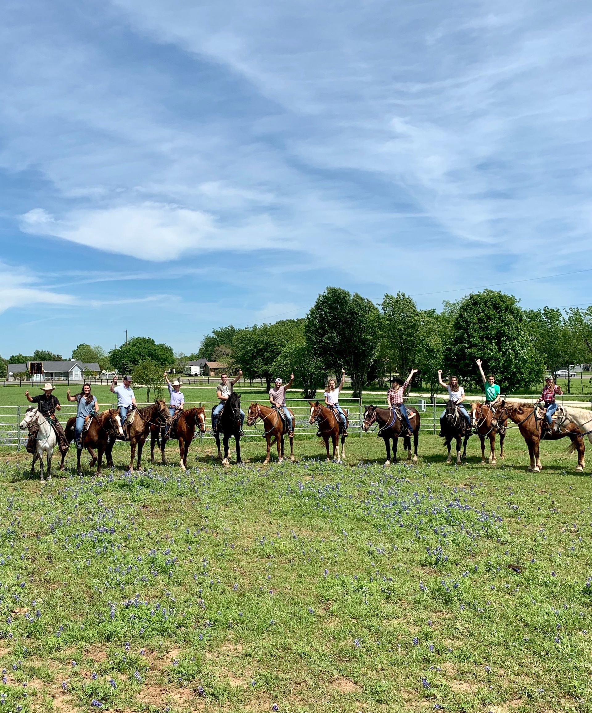 Group of people riding horses in a grassy field on a sunny day. Some raise their arms.