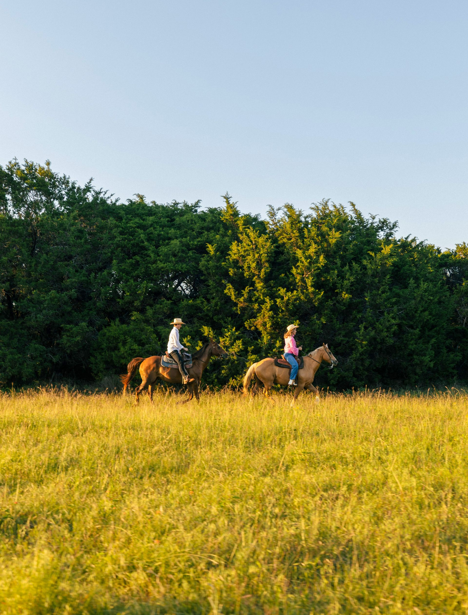 Two people ride horses in a grassy field, near a line of trees; golden light.