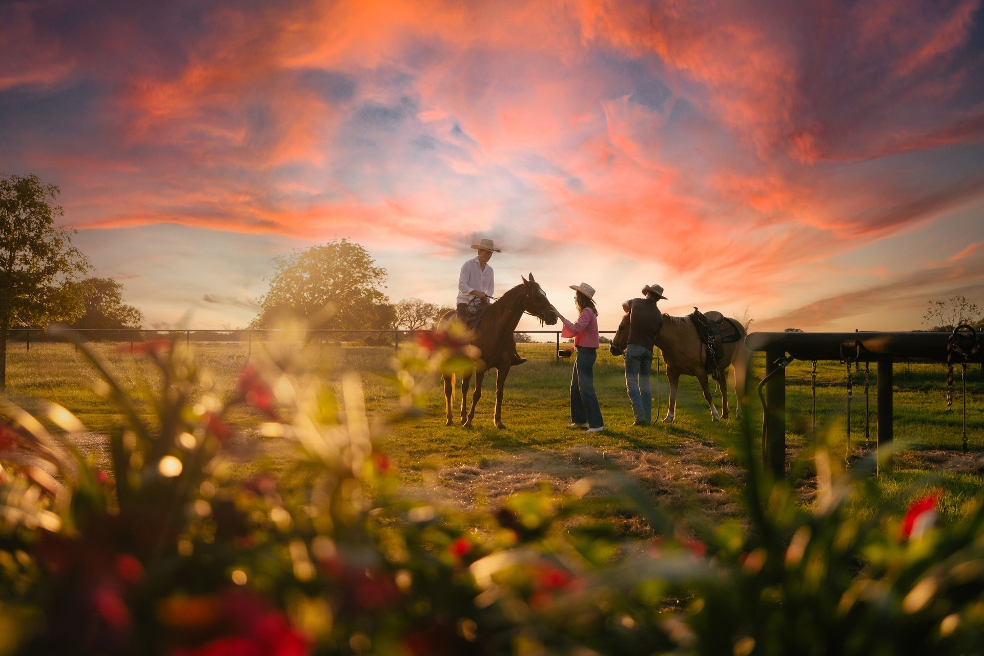 Sunset scene: Three people with horses on a grassy field. One rides, two stand nearby; vibrant sky, flowers in foreground.