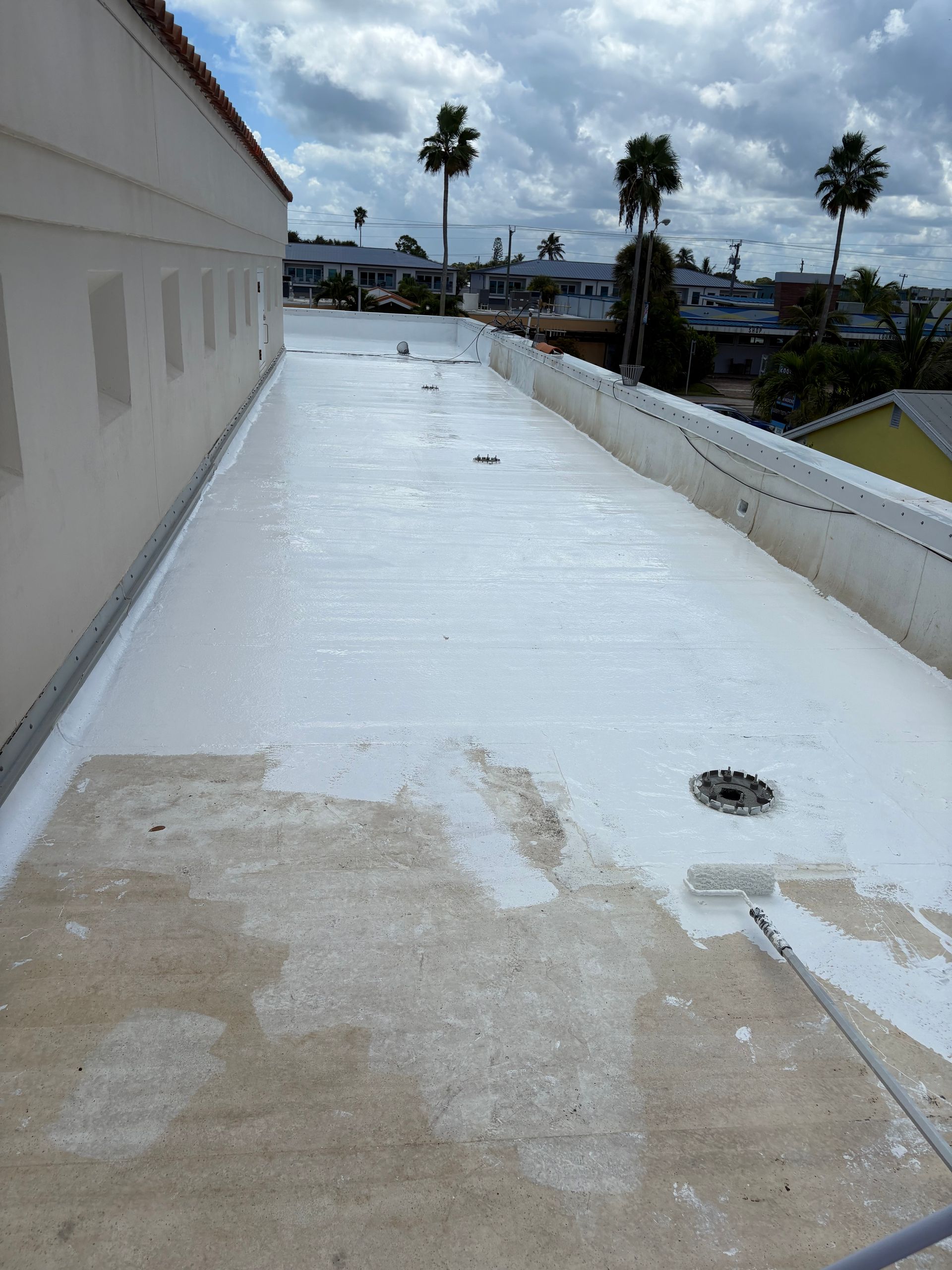 Rooftop being painted white with roller brush; palm trees in background.