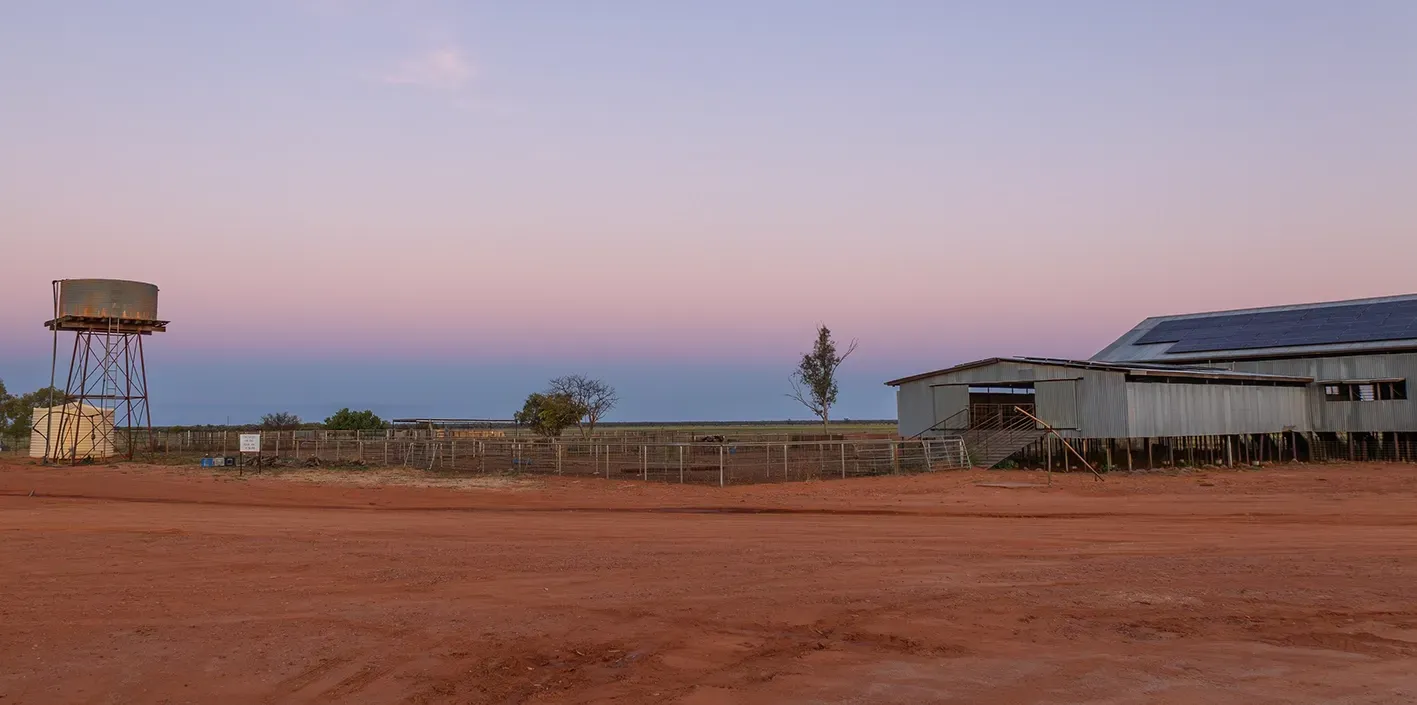 A Steel Fence and Gates Surrounding Stockyards On a Property— True North Fencing In Noonamah, NT