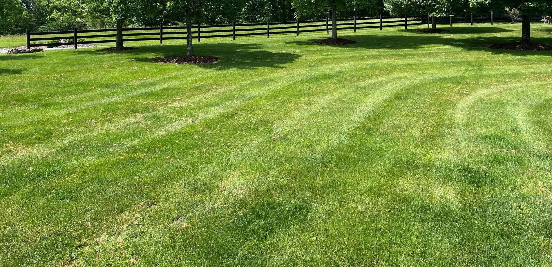 Mowing, Edging, Fertilizer, Weed Control, Overseeding, Lawn Aeration and Pest Control
