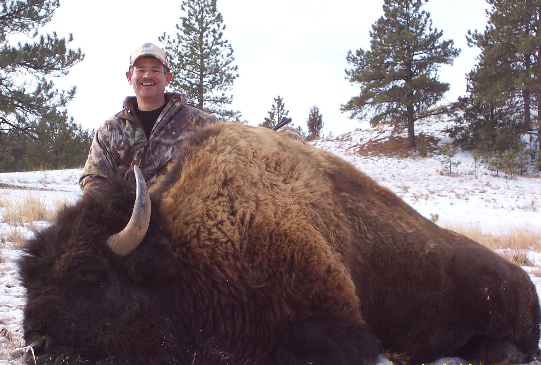 Buffalo HUnting South Dakota, Buffalo hunting, Buffalo hunt