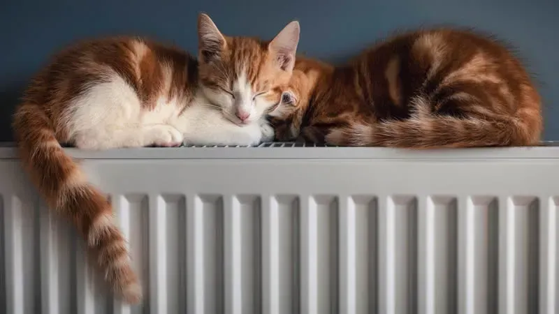 Two orange and white cats sleeping on a white radiator.