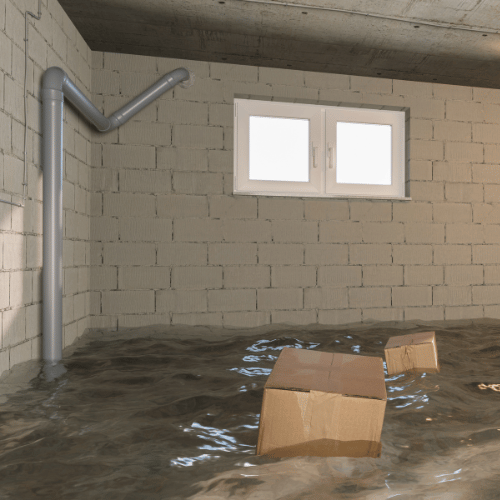 basement flood service company toledo ohio