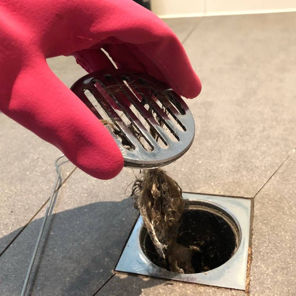 cheap drain cleaner near me toledo