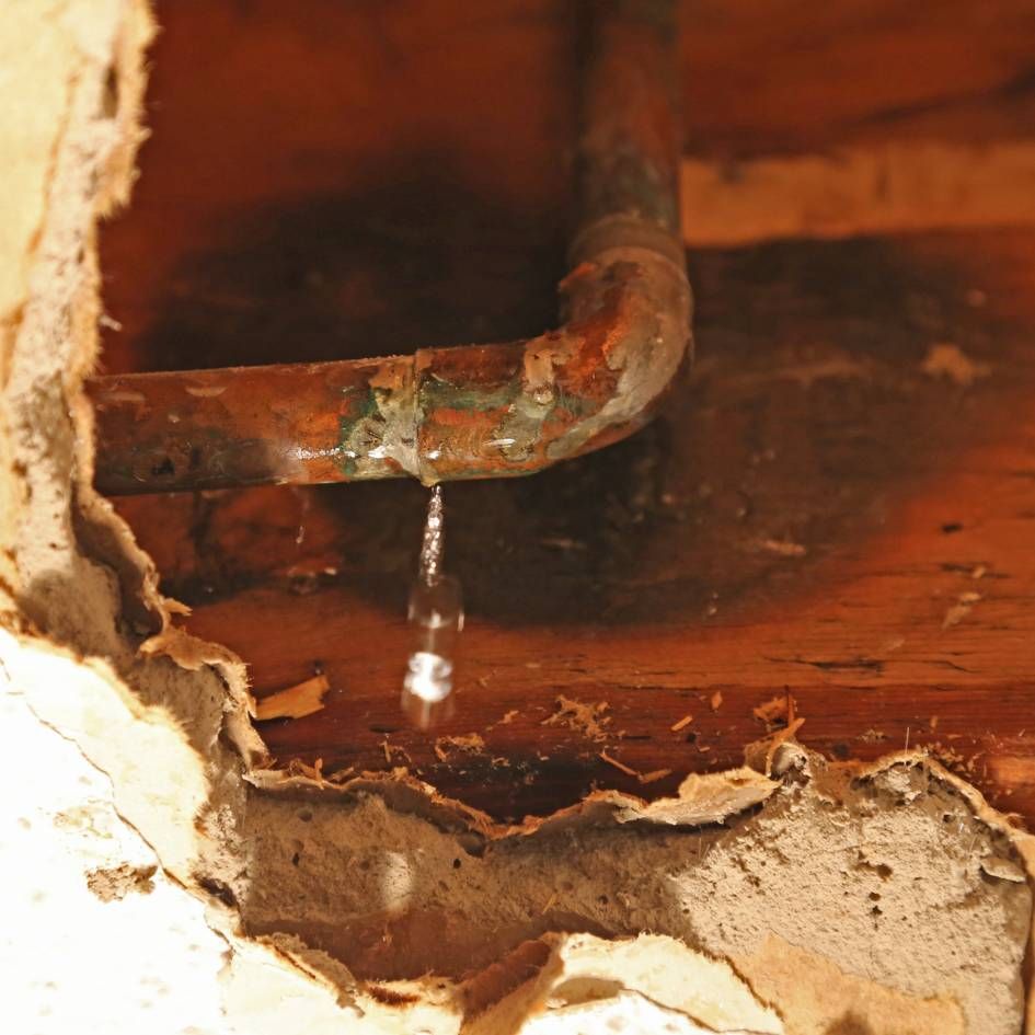 cheap plumber near me toledo
