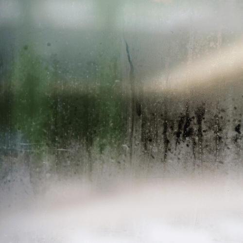 whole home dehumidifier installation company near me toledo ohio