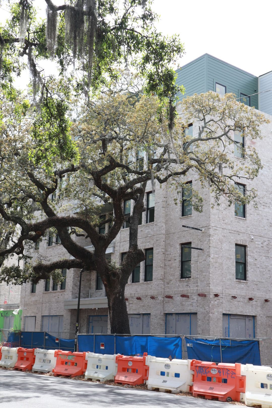 Tree in front of a light stone building with blue and orange construction barriers along the sidewalk