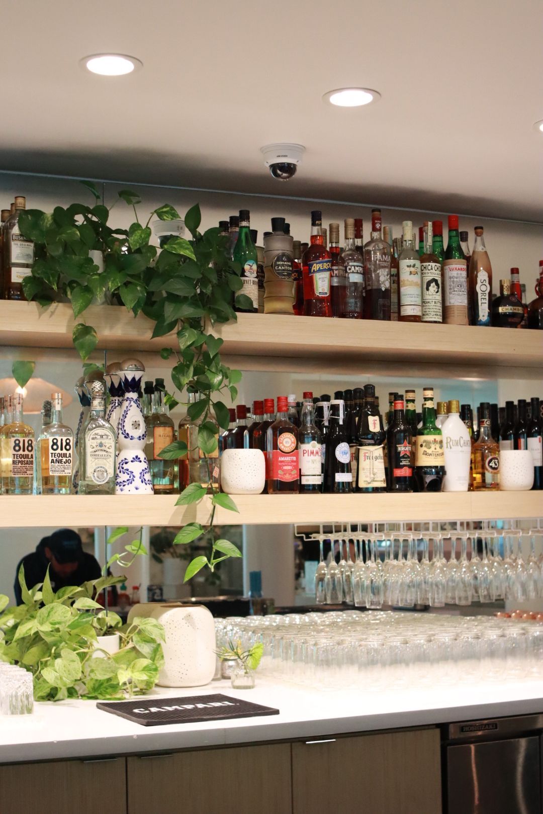 Bar shelves with liquor bottles, hanging glasses, and green plants behind a white countertop