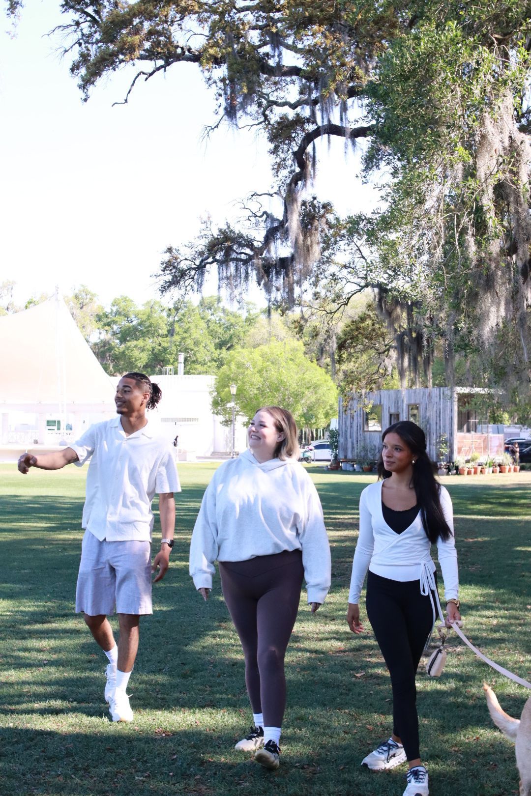 Three people walking on a grassy park path under large trees, outdoors in daylight