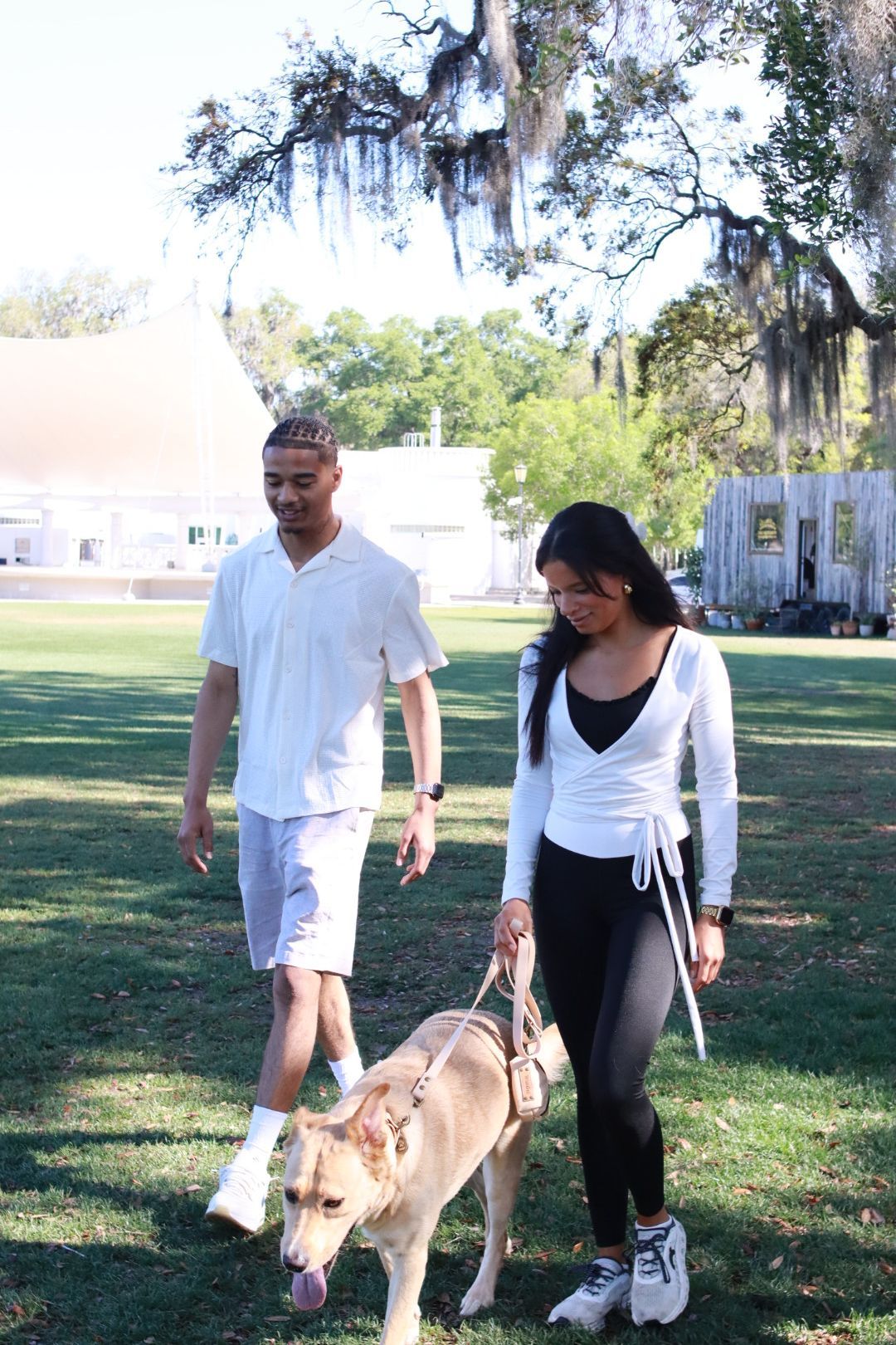 Two people walking two dogs on leashes in a sunny park under trees