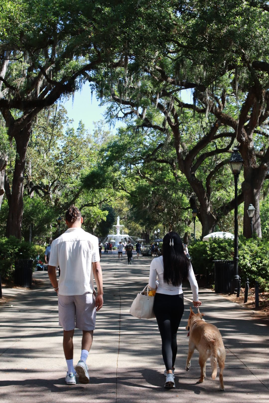 Tree-lined park path with two people walking a dog on a sunny day