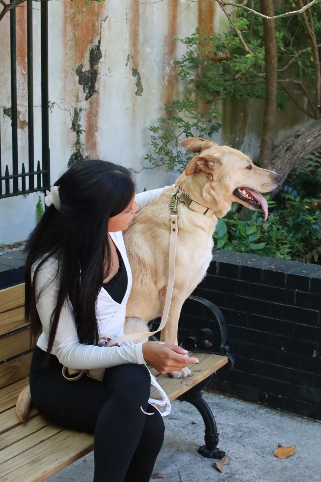 Person sitting beside a tan dog on a leash outdoors near a wall and plants.