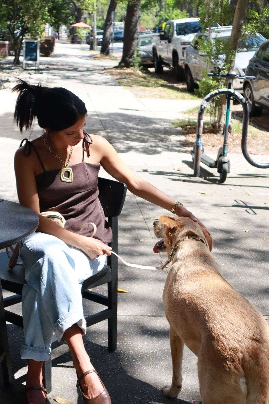 Person sitting outdoors petting a tan dog on a sunny sidewalk