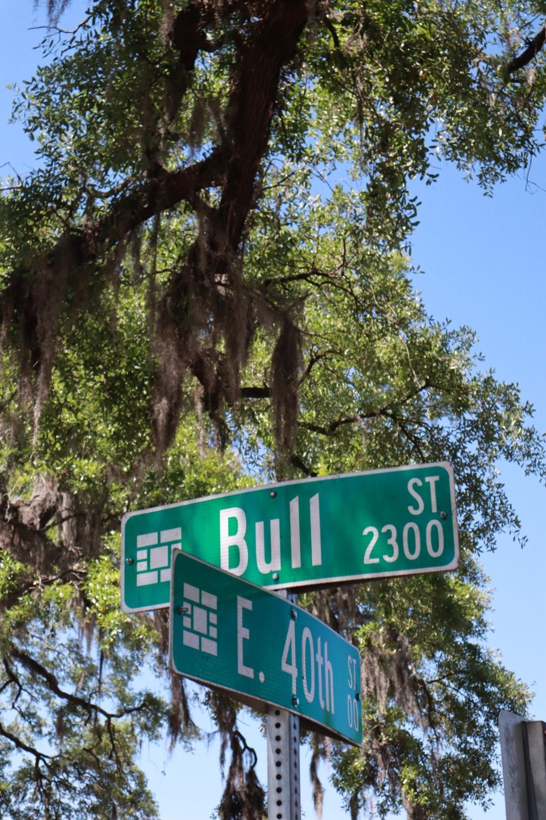 Street signs for Bull St and E 40th St against trees and blue sky