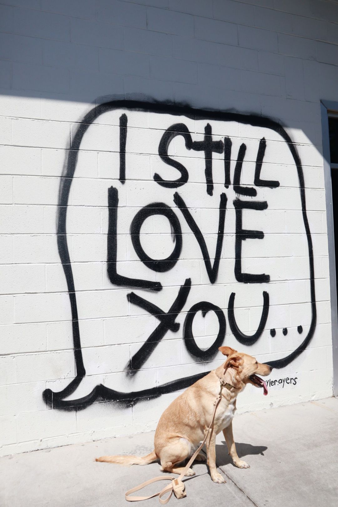 Dog sitting by graffiti that says “I still love you...”
