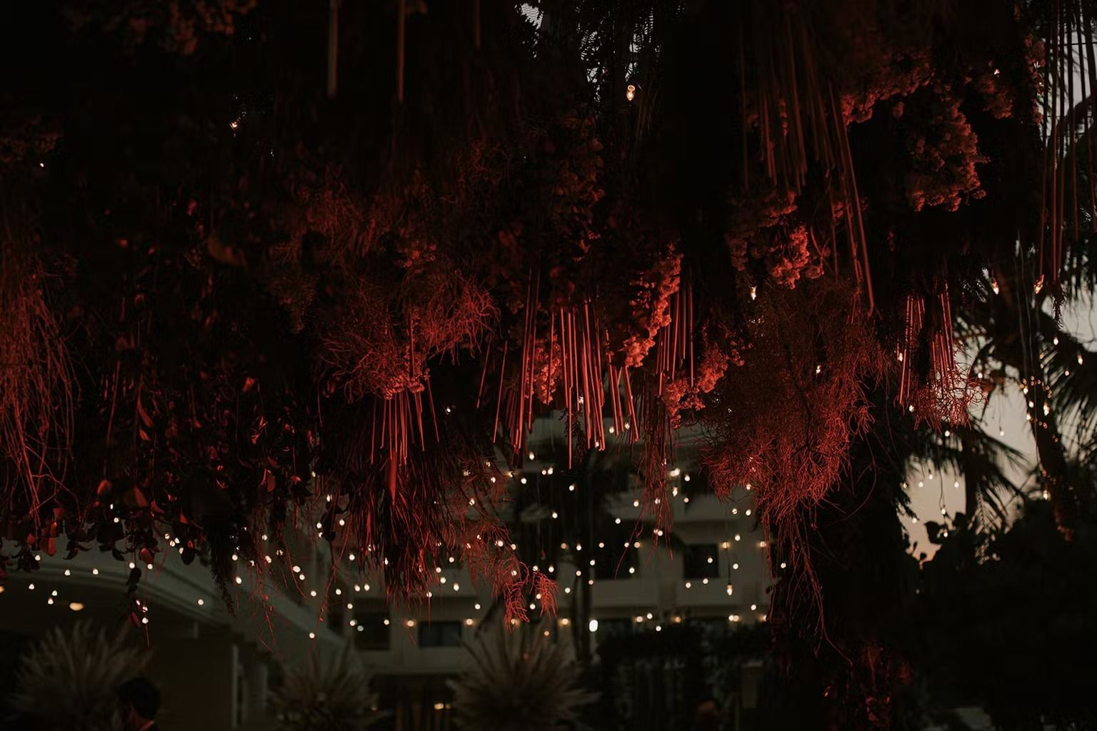 A tree with christmas lights hanging from it and a building in the background.