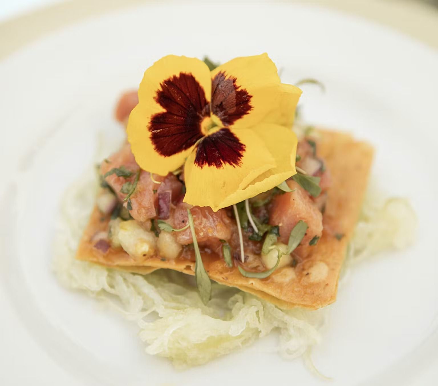 A close up of a plate of food with a flower on top.