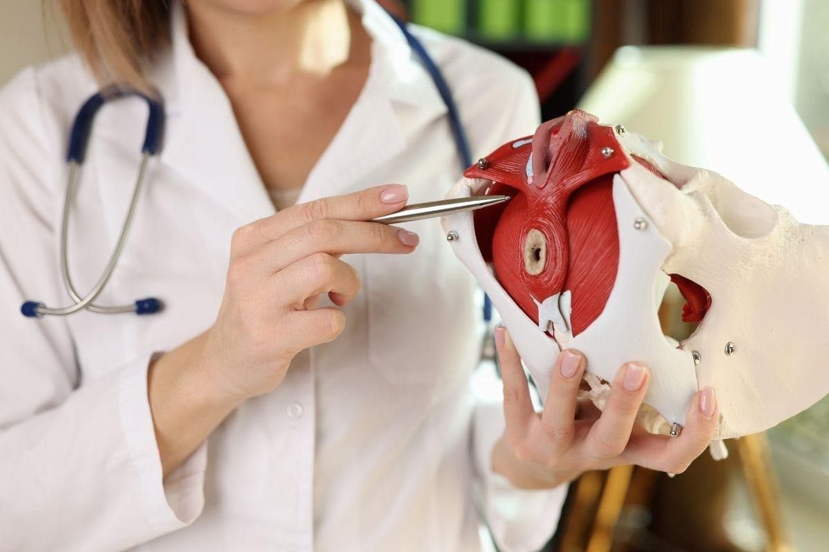 ninfoplastia-procedimento-dra-camila-poccetti-ginecologista-sao-paulo