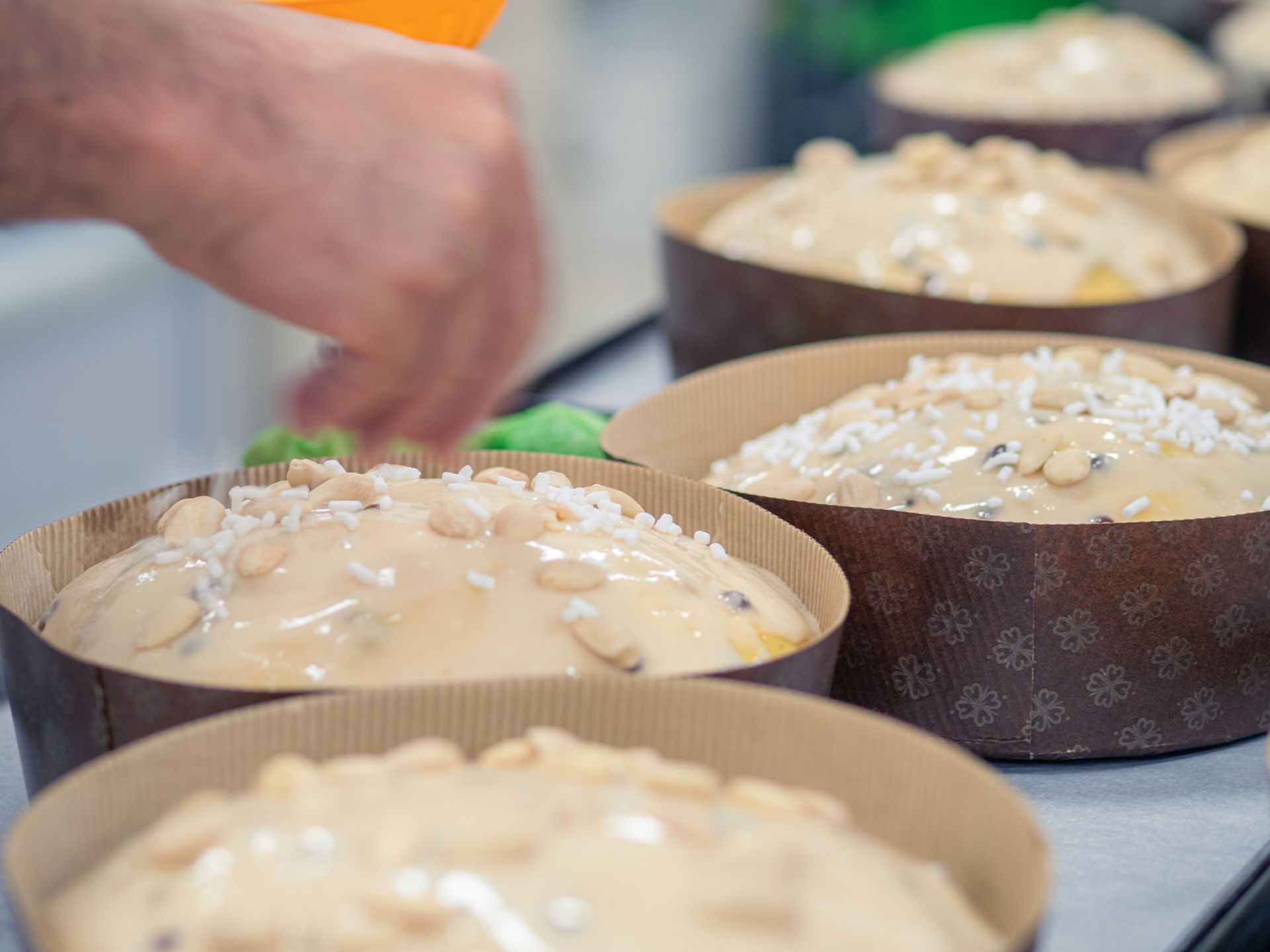 Primo piano di diversi impasti lievitati in stampi di carta, ricoperti di noci e granella, in fase di preparazione.