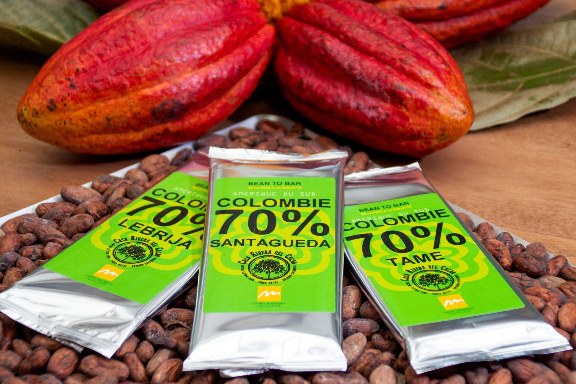 la seduccion del cacao casa rivera del cacao