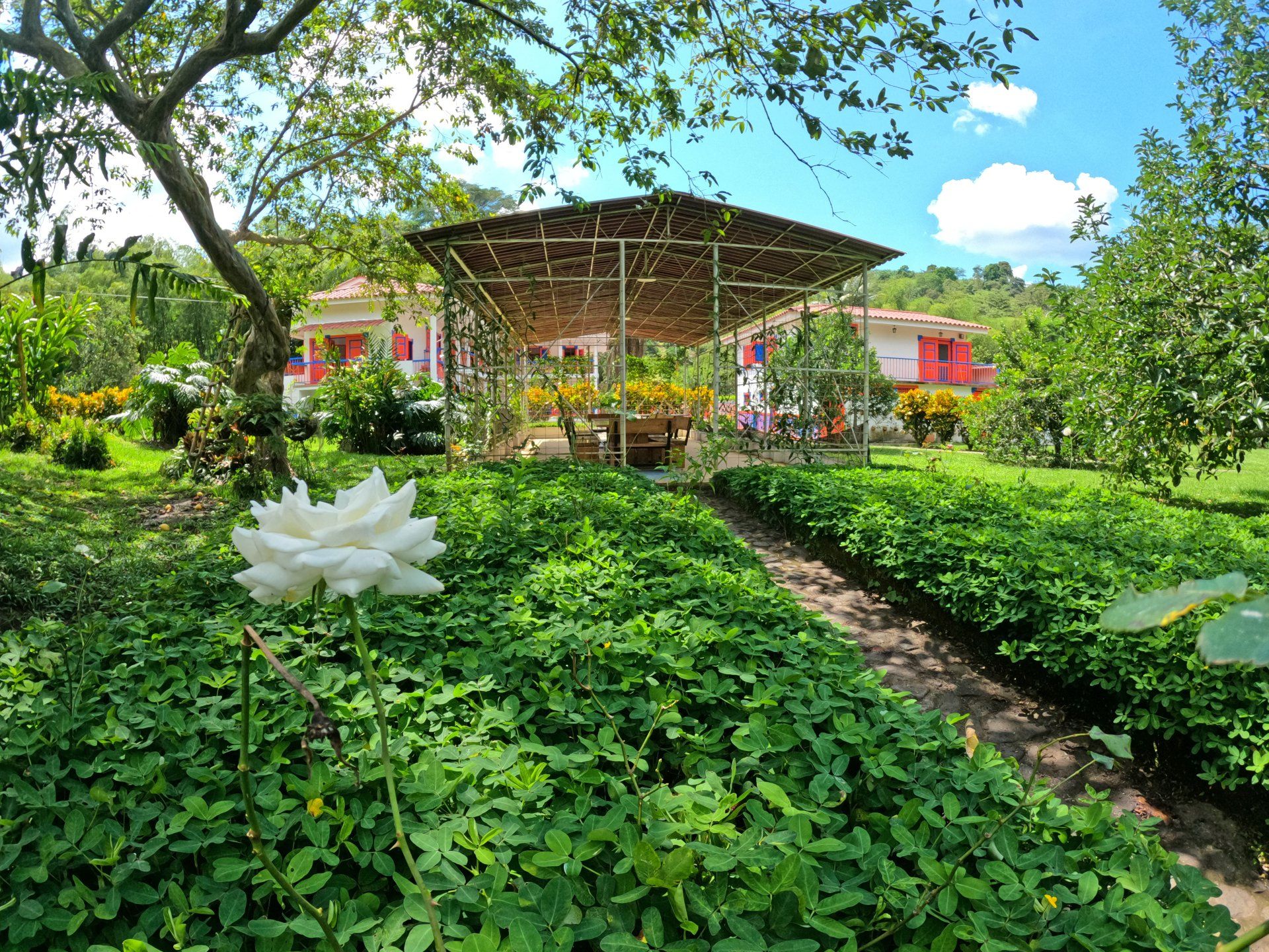 casa rivera del cacao