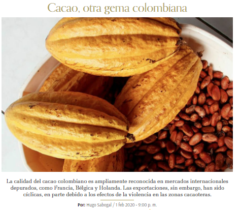cacao otra gema colombiana