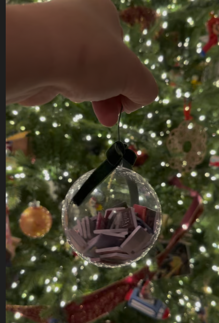 Read In 2025 Ornament Kit