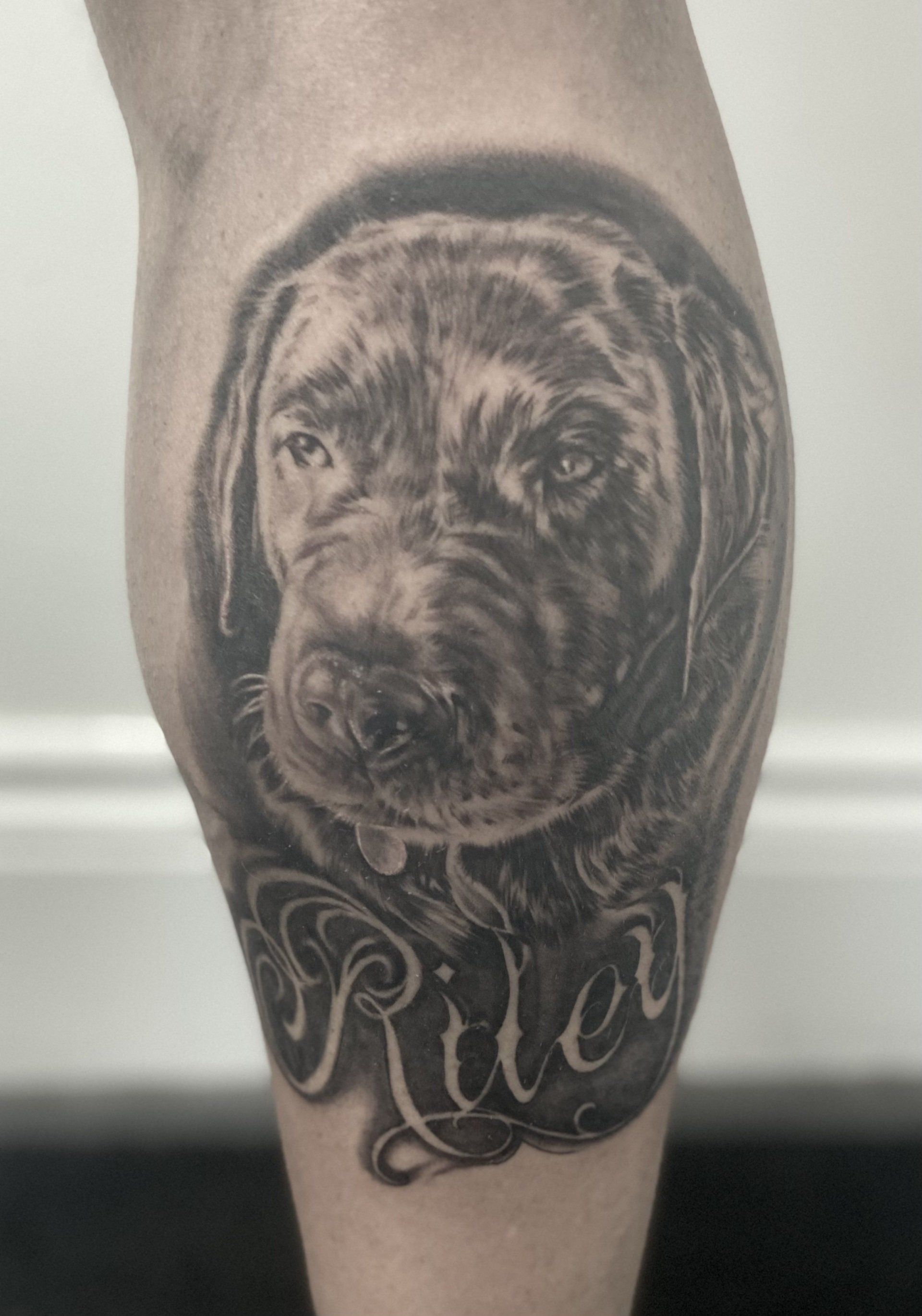 Pet portrait tattoo black and grey realism